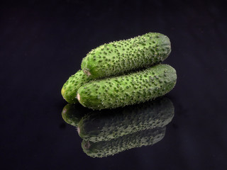 Green cucumber with pimples. Lies on the black glass