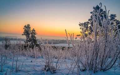 sunset in winter forest