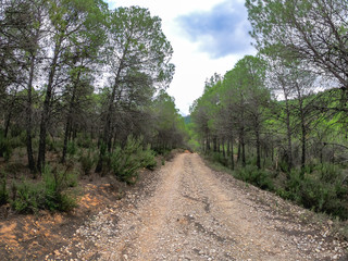 POV driving on a mountain way very slowly on Nerpio's road, Spain
