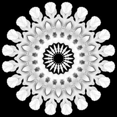 Floral kaleidoscopic pattern. Monochrome geometric ornament . Mandala . Abstract black and white background