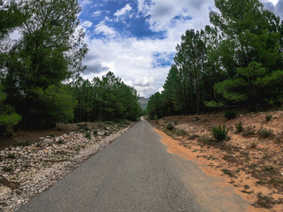 POV driving through a pine wood, between a cliff and two rock walls.