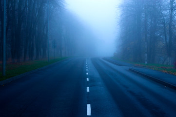 Road through a foggy forest into the distance
