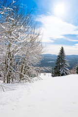 Winter scenery in the sunny day with blue sky. Mountain landscape, Slovakia, Europe