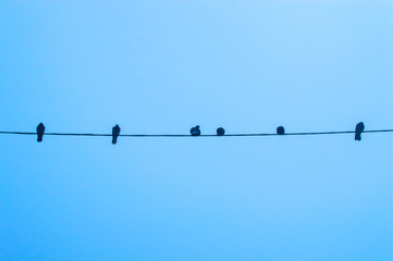 Pigeons are sitting on a wire against the sky