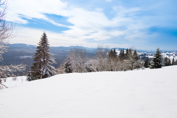 Winter scenery in the sunny day with blue sky. Mountain landscape, Slovakia, Europe