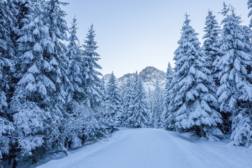 Blue winter landscape with road