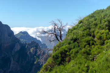 The view to the mountains