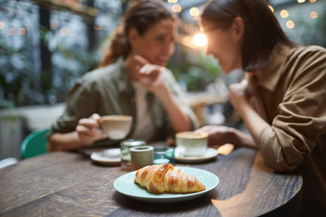 Portrait of two young women gossiping while enjoying lunch together in cafe, focus on fresh...