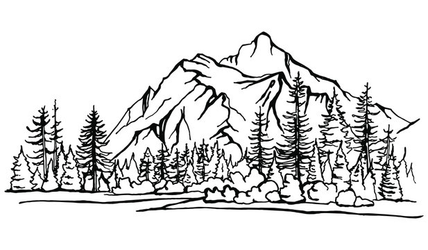  Mountain Landscape, forest pine trees sketch. Hand drawn vector Illustration.