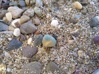 Stones