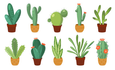 Cartoon cactus set. Vector set of bright cacti and aloe. Colored, bright cacti flowers isolated on white background - obrazy, fototapety, plakaty