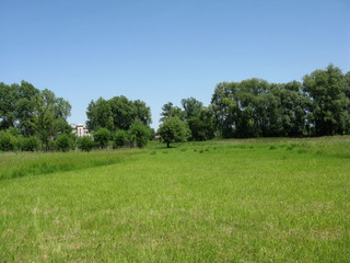 Fototapeta premium Landscape