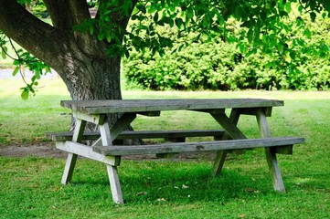 Savannah, Georgia, USA oak tree lined road at historic Wormsloe Plantation.
