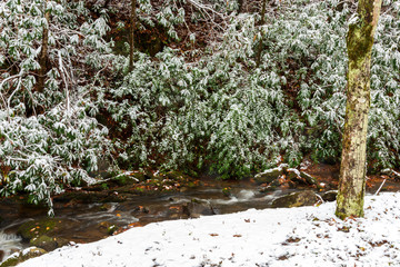 Snowy Mountain Creek