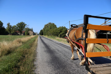 Fototapeta na wymiar Urlaub mit Pferd und Kutsche in den Vogesen, Frankreich 