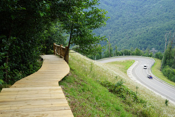 walk, hiking, trail, nature, forest, tree, cottage,