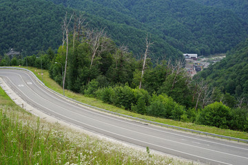 road, mountain, highway, landscape, asphalt, nature, forest,
