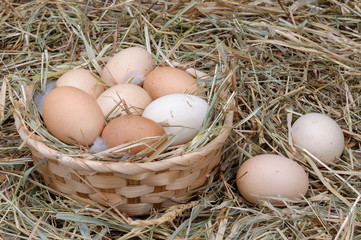 Chicken eggs are stacked in a basket.