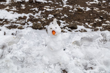 snowman in the snow