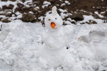 snowman in the snow