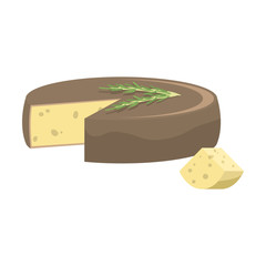Cheese head with fresh rosemary herb on it vector illustration