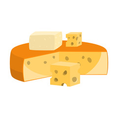 Fresh gouda cheese head and pieces vector illustration
