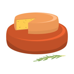 Fresh red and yellow cheese heads with rosemary vector illustration