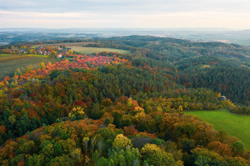 Fototapeta na wymiar Autumn colorful trees at sunrise aerial view