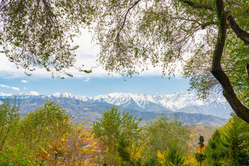 Golden autumn in the mountains. Autumn landscape in the mountains. Kazakhstan