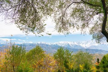 Obraz premium Golden autumn in the mountains. Autumn landscape in the mountains. Kazakhstan