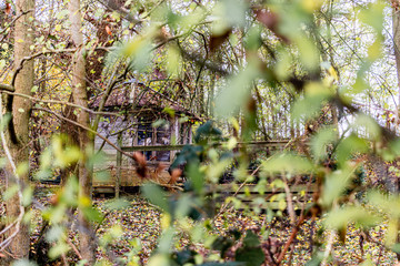 old wooden building between trees