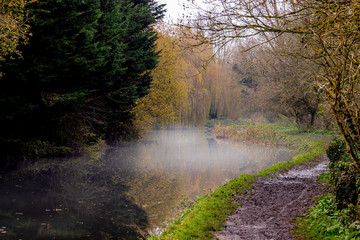 Obraz premium fog on the autumn river