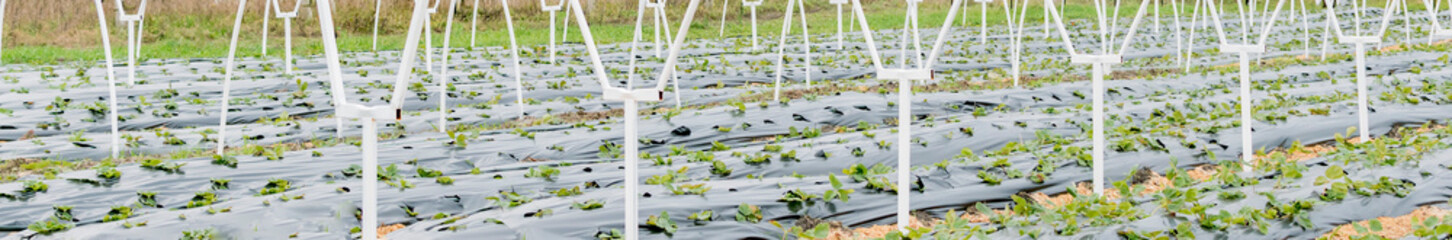 Frame of a modern greenhouse for growing vegetables