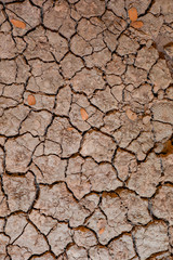 Dry land. Cracked ground background. Texture of dry and dehydrated ground surface.