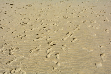 Many footprints in the sand on the beach