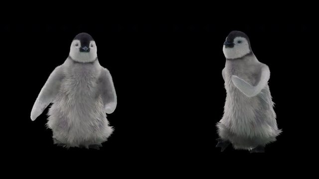 Penguin Zoo CG fur 3d rendering animal realistic CGI VFX Animation Loop Crowd dance composition 3d mapping cartoon Motion Background,(with Alpha Channel)