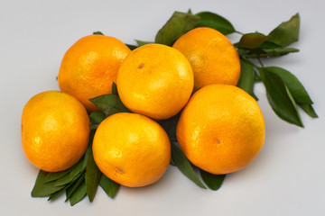 Tangerines with leaves on a light background