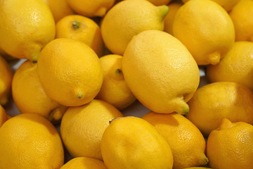 fresh lemons harvest for food background