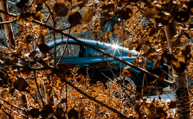 car in autumn trees  