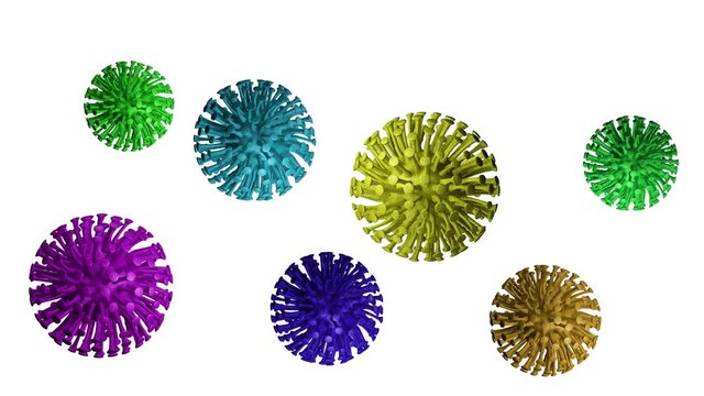 Virus