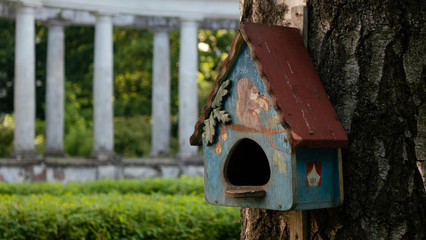 wooden birdhouse on a tree
