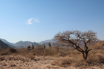 Obraz premium A road crosses between the rocky peaks of La Quebrada de las flechas, Argentina