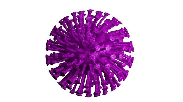 Virus violeta morado