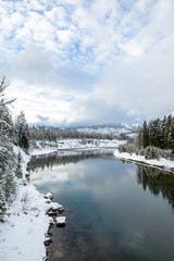 Snow covered evergreens overlooking a cold river.