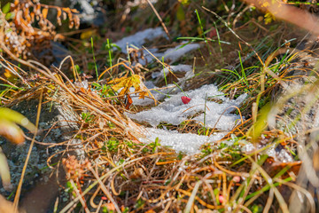 Golden autumn in the mountains. Autumn landscape in the mountains. Kazakhstan
