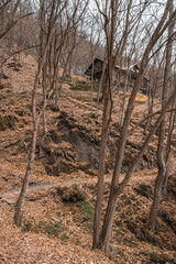 Cottage in the hill. Autumn landscape with yellow-orange and fallen leaves. Nature Trail Svatojanske proudy. Slapy, Czech Republic. 