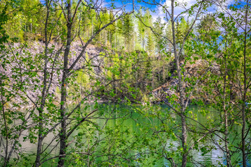 Obraz premium Marble rock with cracks. On the marble white and gray stains. The forest around. Ruskeala, Karelia