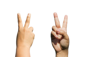 front and back side of hands gesturing sign victory isolated on white background