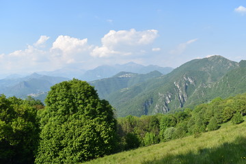 Obraz premium Colori di montagna