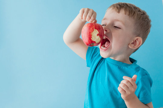 Baby child holding and eating red apple on blue background, food, diet and healthy eating concept